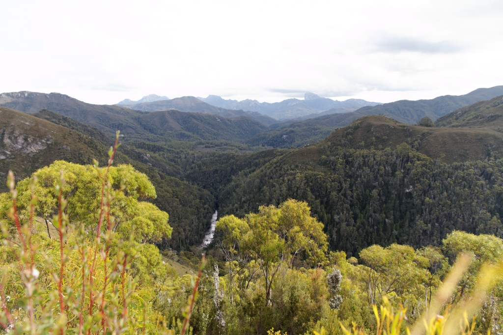 18 - Donaghys Hill (1).jpg